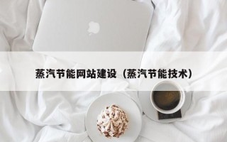 西藏蒸汽节能网站建设（蒸汽节能技术）